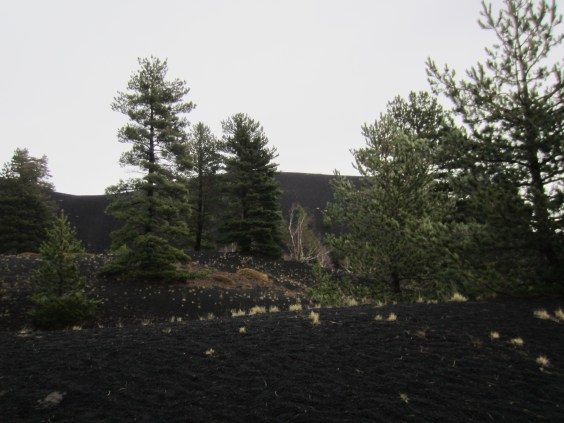 Black lava covered landscape near Mount Etna
